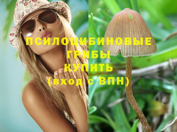 хмурый Козельск