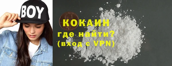крисы Кодинск