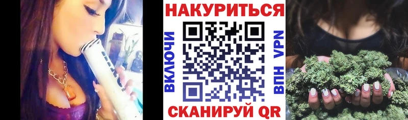 Шишки марихуана планчик  Терек 